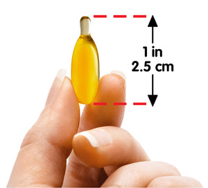 Coriander Seed Oil